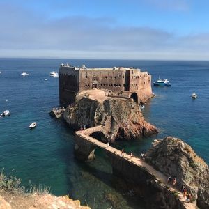 Meet your Posher, Leonor